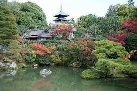 Ninna Ji Temple Bonsai Tonight Japanese Garden Bonsai Garden