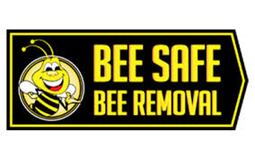 We have over 10 years of experience. 14 Best Pest Control Companies In Dallas Tx Consumeraffairs