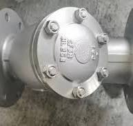 ANSI 150 Stainless Steel CF3m Y Type Strainer DN150