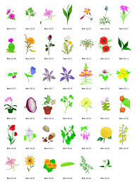 Check spelling or type a new query. Back To The Roots Aqua Farm Review Indoor Herb Garden Indoor Herb Garden Herbs Indoors Herbs