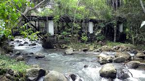 EL GALLINERAL - COLPARQUES - PARAÍSOS POR DESCUBRIR EN COLOMBIA