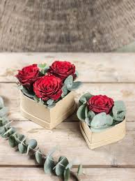 Eukalyptus Cinerea Silber Grun Bestellen Rosen Box Valentinstag Blumen Blumen In Einer Schachtel