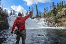 If you end up taking the south entrance road make sure you take this 15 minute quick stop to see lewis. Lewis River Fly Fishing Yellowstone National Park