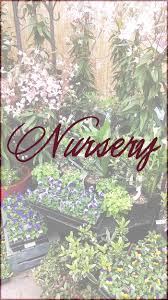 Reed Cross Floral And Gifts Available At Gray S Garden Center Grey Gardens Garden Center Beautiful Gardens
