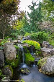 25 gorgeous pond waterfall designs. Inspiration From Our Lead Designer S Backyard Pond Aquascape Inc
