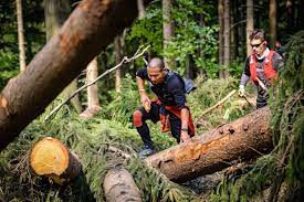 Ročník, je extrémní horský závod jednotlivců a mistrovství české republiky v horském maratonu dvojic. Z Trince Na Mont Blanc A Jeste Vys To Byla Letosni Beskydska Sedmicka Aktualne Cz