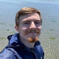 400+ "Dyce" profiles