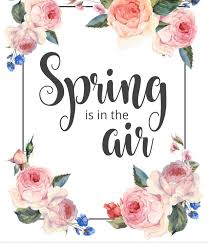 Serving knoxville and surrounding areas. Julie Baumann Inside Sales Specialist Arrow Exterminators Chattanooga Tn Home Facebook