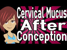 Yellow discharge after ovulation if pregnant. Cervical Mucus After Conception Youtube