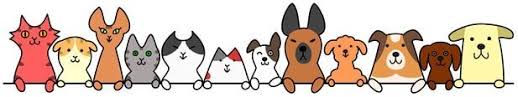 Family pet clinic is pleased to serve temple, tx and the surrounding areas. Veterinary Hospital Tempe Veterinary Hospital Tempe Az