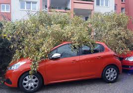 Hier sehen wir die vergangenheit und die zukunft des auslösenden systems auf der höhenwetterkarte. Unwetter Sturm Fegt Uber Wiener Neustadt Hinweg