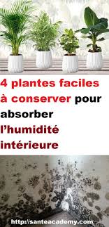 Pin On Astuces Naturelles