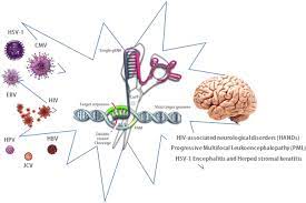 A Broad Application Of Crispr Cas9 In Infectious Diseases Of Central Nervous System Springerlink