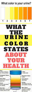 What The Urine Color States About Your Health Astounding Article About Article Astounding Color Health States Urine Chec Health Health Articles Urinal