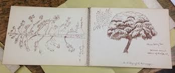 New Children's Literature Collection