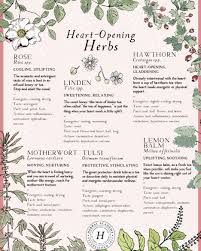 Remedy Garden On Instagram Happy Herbalist Day Here S A Lovely Poster Of Heart Opening Herbs From Herbalacademy We A Herbalism Herbal Healing Herbalist