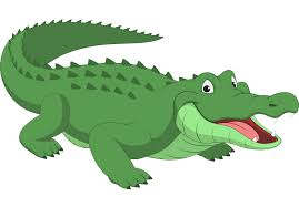 564 x 677 13 0. Cute Alligator Clipart Transparent Clipart World
