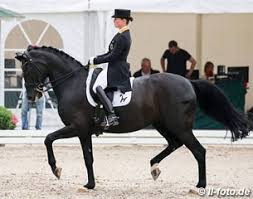 As you can most likely. Isabell Werth And Weihegold Win 2016 German Dressage Championships