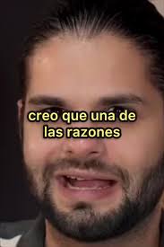 Tengo Un Apego Muy Fiel Hacia Los Perros