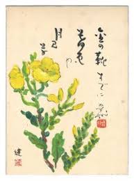 Image result for Ochna cinnabarina