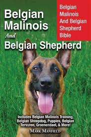 Belgian Malinois And Belgian Shepherd Ebook By Mark Manfield Rakuten Kobo In 2020 Belgian Shepherd Belgian Malinois Malinois