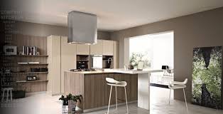 cream taupe wood modern kitcheninterior