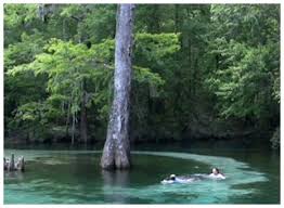 Weather magnolia springs state park is located in southeast georgia. Walton County Area Florida State Parks Walton Outdoors