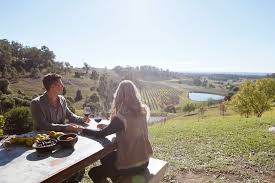 What amenities does vineyards at valley view have? Mount View Hunter Valley Visitor Information