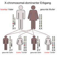 Erbkrankheit Wikipedia