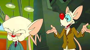 Check spelling or type a new query. Pinky And The Brain Are More Important Than The Animaniacs