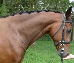 How to instructions for different braiding techniques. Braiding Wire For Horse Hair By Twisteezwire
