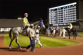 Check spelling or type a new query. ç«¶é¦¬ã®ã‚­ãƒ›ãƒ³ å·å´Žç«¶é¦¬ Kawasaki Keiba