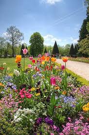Residenz Garden Hdr Wurzburg Franconia Germany Beaux Jardins Idees Jardin Idees De Jardin Fleur