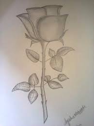 Start by assembling your materials to draw the rose. Rose Flower Drawing By Saad Dilawer