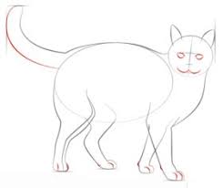 Katze Zeichnen Lernen Schritt Fur Schritt Tutorial Zeichnen Leicht Gemacht Ganz links seht ihr wieder die grundzeichnung und daneben die eigentliche zeichnung mit fellschattierungen.