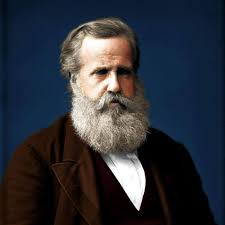 Maybe you would like to learn more about one of these? Dom Pedro Ii Photos Facebook