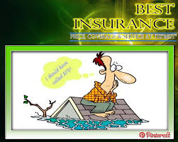 Pin On Flood Insurance Cartoons