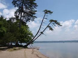 Große terrassen, gärten und balkone. Tutzing Beach Am Starnberger See Foto Bild Deutschland Europe Bayern Bilder Auf Fotocommunity