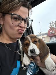 Doggie yoga classes with rescue dogs in LA?