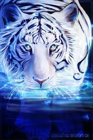 Beautiful Tiger Art Big Cats Art Animals Animal Spirit Guides