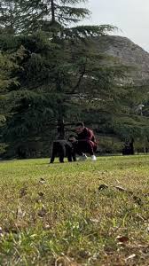 Pura Vida: Celebrando la Felicidad y el Amor