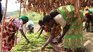 Burundi liegt, geografisch gesehen, im zentrum von afrika, aber es stand in den letzten jahren leider auch im mittelpunkt afrikanischer negativschlagzeilen. Nothilfe Hunger In Afrika Welthungerhilfe