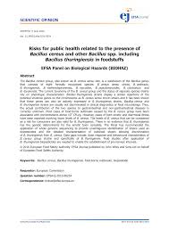 Pdf Scientific Opinion Risks For Public Health Related To The Presence Of Bacillus Cereus And Other Bacillus Spp Including Bacillus Thuringiensis In Foodstuffs Efsa Panel On Biological Hazards Biohaz Panel Members