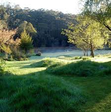 Catherine Shields On Instagram Also Sally S Garden Tasmaniangardens Springgardens Gardendesign