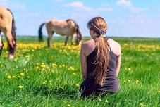 Meadow-Tation: Peace-Out with Horses