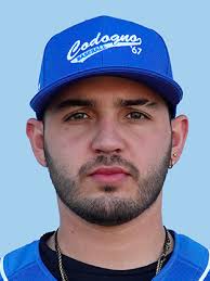 Federazione Italiana Baseball Softball