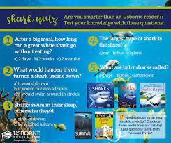 True sharks are classified in the superorder selachimorpha and there are more than 440 species alive today. Bay Area Usborne To Celebrate The End Of Shark Week Here Is Some Fun Shark Trivia Do You Know Any Of These Shark Facts Facebook