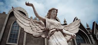 Image result for images Militant Angels