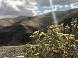 Get an overview of major world indexes, current values and stock market data. Boyer Park Marina Snake River Koa Campground Reviews Colfax Wa Tripadvisor