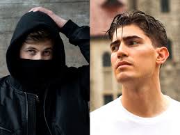 Robin Packalen Reflects On Touring India And New Track With Alan Walker:  'It's Like A Dream'